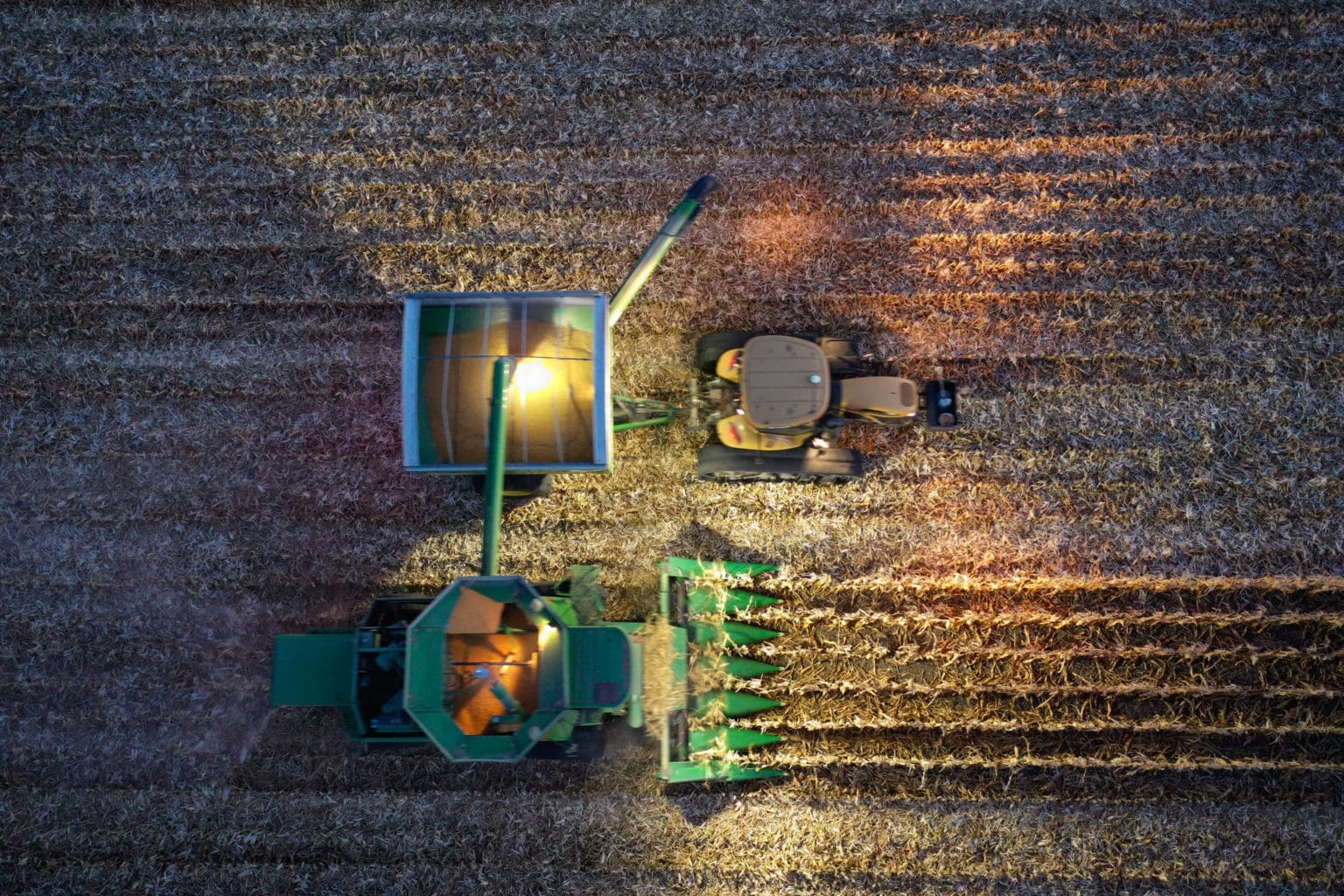 Community Bank Winnebago MN First Financial Bank In Winnebago